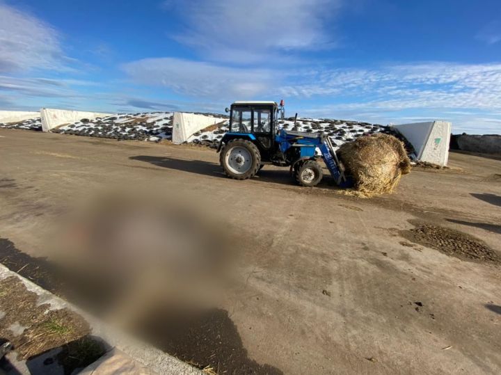 В Татарстане рабочий на тракторе насмерть задавил сотрудницу фермы