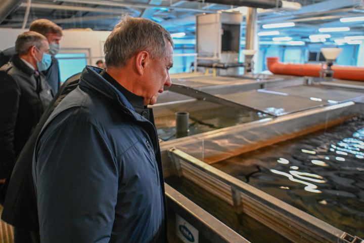 Рустам Минниханов посетил рыбоводный комплекс «Биосфера-Фиш» в Лаишевской районе