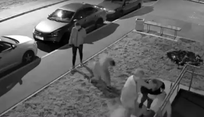 В Нижнекамске на видео попали дерущиеся во дворе девушки
