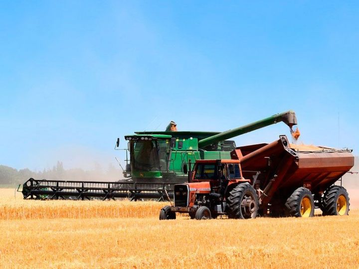 В этом году в Татарстане из-за аномальной жары производство сельхозпродукции снизилось почти на 12%