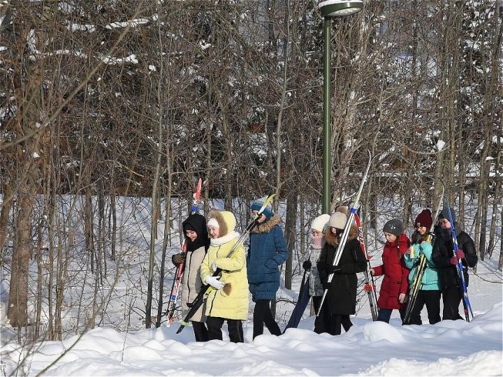 В Горкинско-Ометьевском лесу Казани открыли прокат лыж