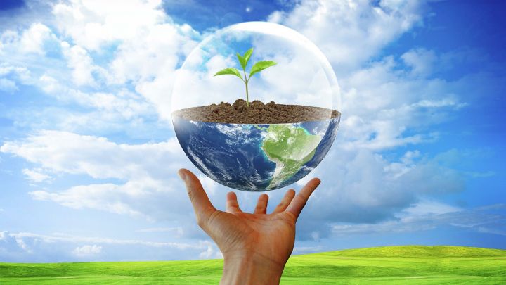 С 14 по 21 ноября в Татарстане пройдет Всероссийский экологический диктант