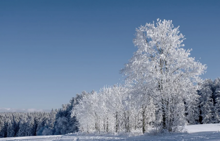 Синоптики рассказали, какая погода ждет татарстанцев в декабре