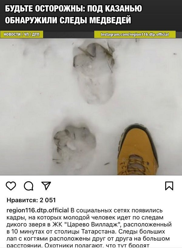 В соцсетях сообщили о медвежьих следах под Казанью. В госкомитете по биоресурсам считают, что это рысь