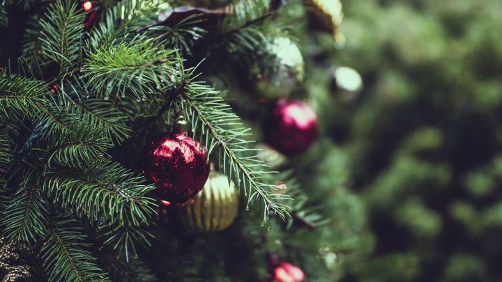 Вечером 16 декабря в Челнах откроют три елки