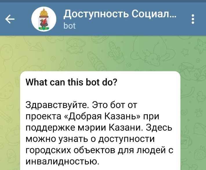 Появился новый телеграм-бот для людей с инвалидностью в Казани