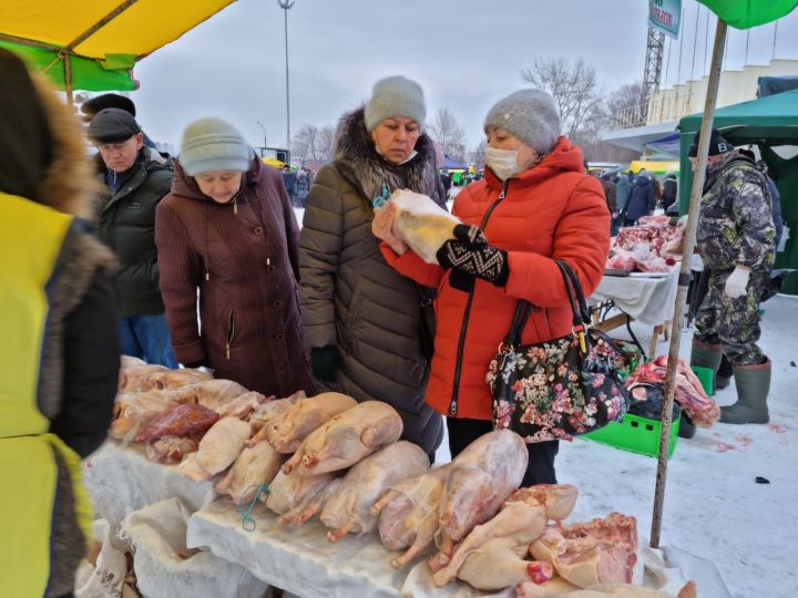 В Набережных Челнах на ярмарки «Новогодний гусь» завезли 16,5 тонны мяса птицы