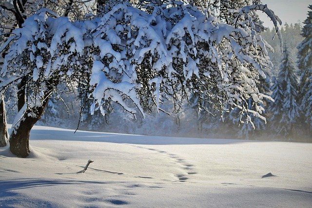 В Татарстане завтра ожидаются снег и до 21 градуса мороза