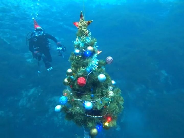 На дне Голубого озера в 44-й раз установили новогоднюю елку