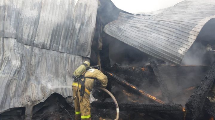 В Высокогорском районе Татарстана в пожаре погиб мужчина