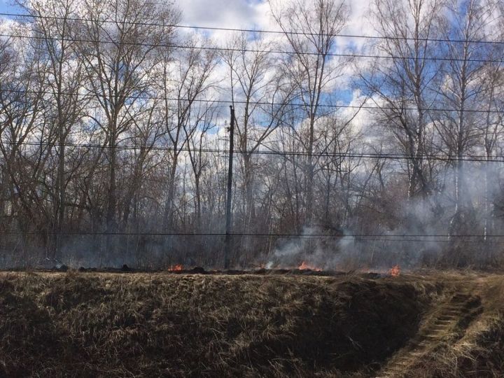 В апреле за сжигание сухой травы оштрафовали 96 татарстанцев