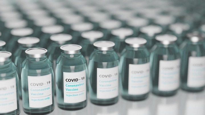 Россельхознадзор запускает производство вакцины от коронавируса для животных