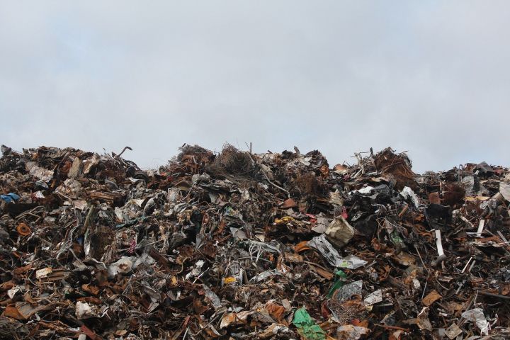 В Челнах предприниматели просят пересмотреть тарифы за вывоз мусора