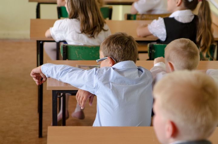 За сутки в Татарстане из-за симптомов ОРВИ на уроки не допустили 28 школьников
