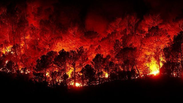 В Татарстане объявили штормовое предупреждение в связи с высокой пожарной опасностью лесов