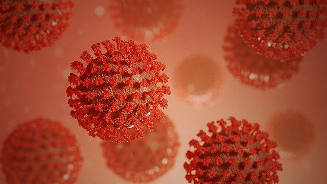 В России выявили 8 465 новых случаев коронавируса