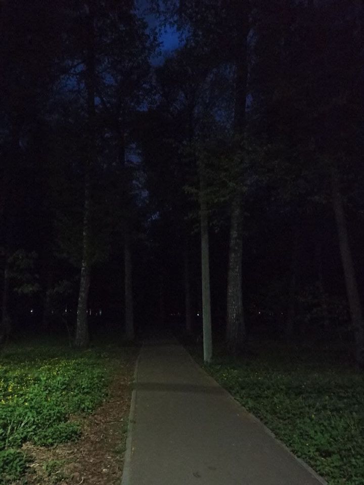 Житель Зеленодольска жалуется на отсутствие освещения в парке