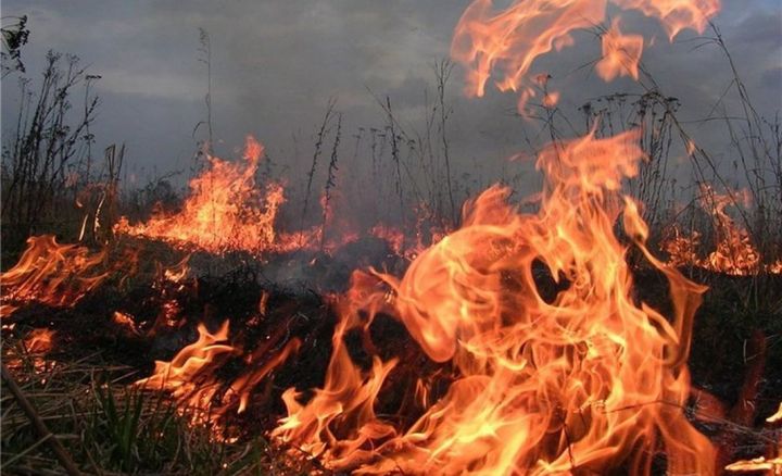 Особый противопожарный режим в Татарстане продлен до 26 мая