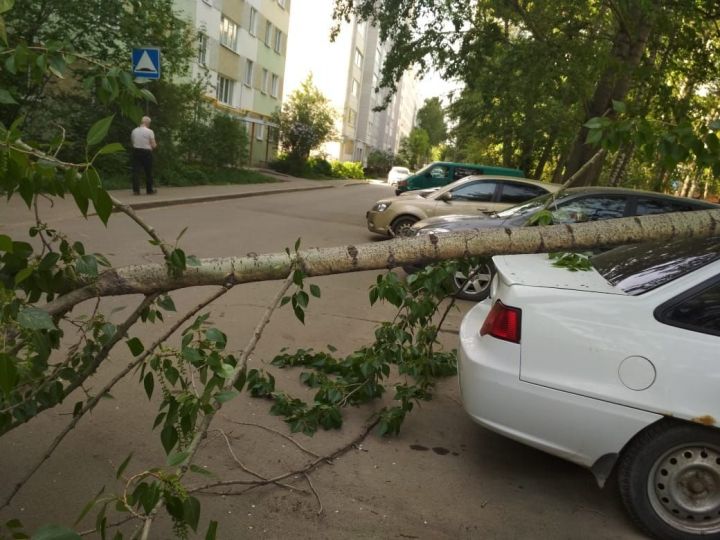 В Казани дерево упало на автомобиль