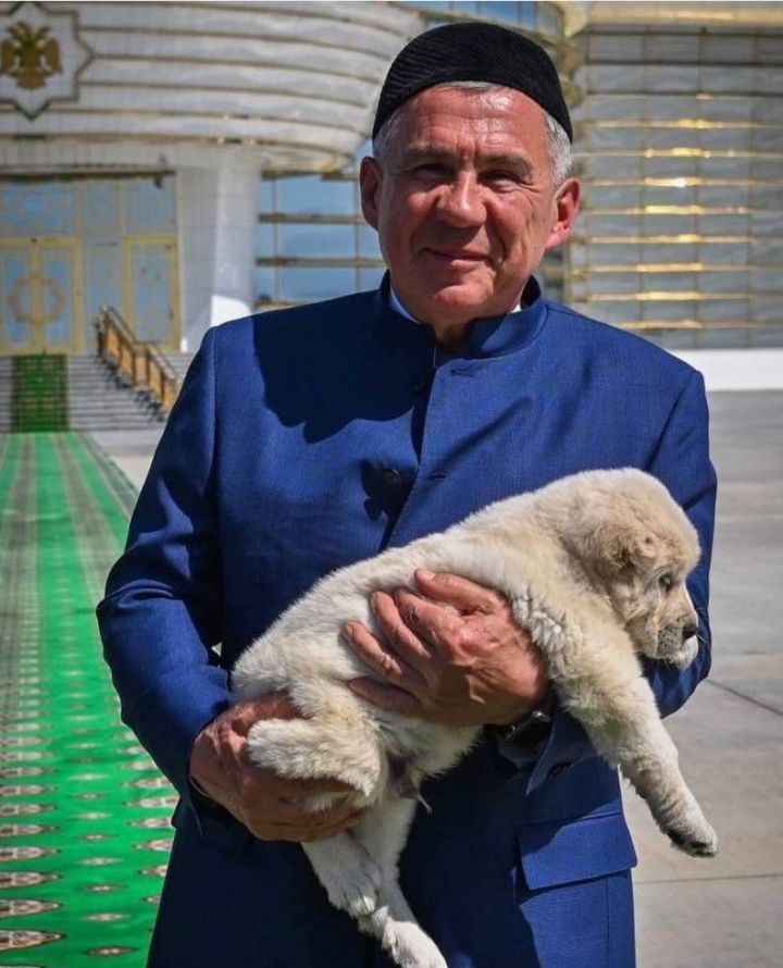 Президент Туркменистана подарил Минниханову «белого друга»