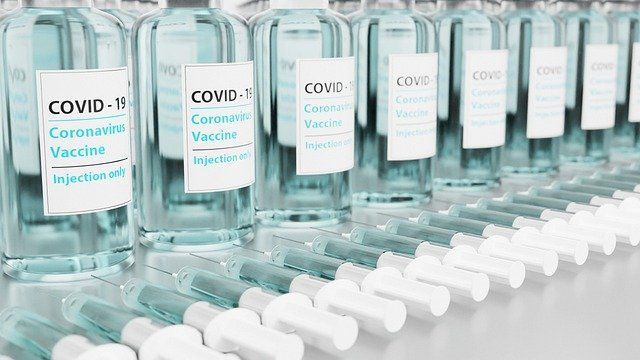 В России началась вакцинация домашних животных от COVID-19