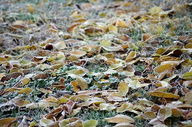 Ожидаются заморозки на почве в Татарстане