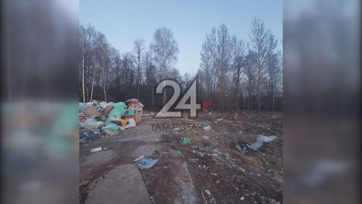 Татарстанцы пожаловались на мусор, разлетающийся по лесу