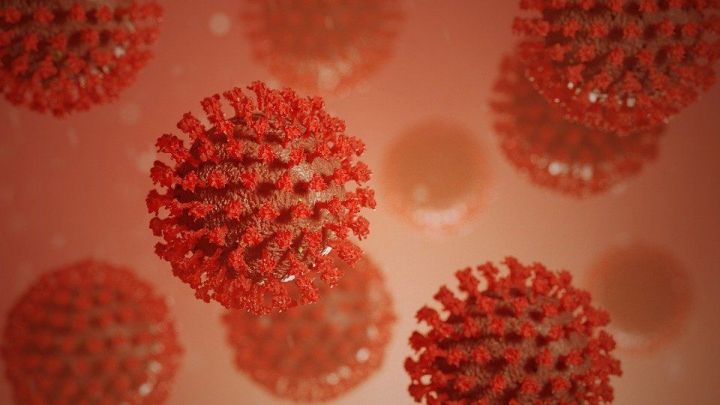 В России обновился антирекорд по суточному числу случаев коронавируса