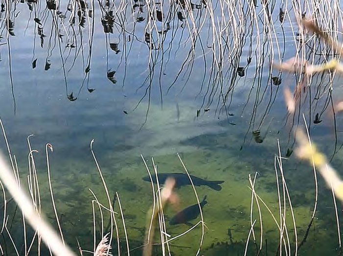 За сутки в водоемах Татарстана утонули 4 человека