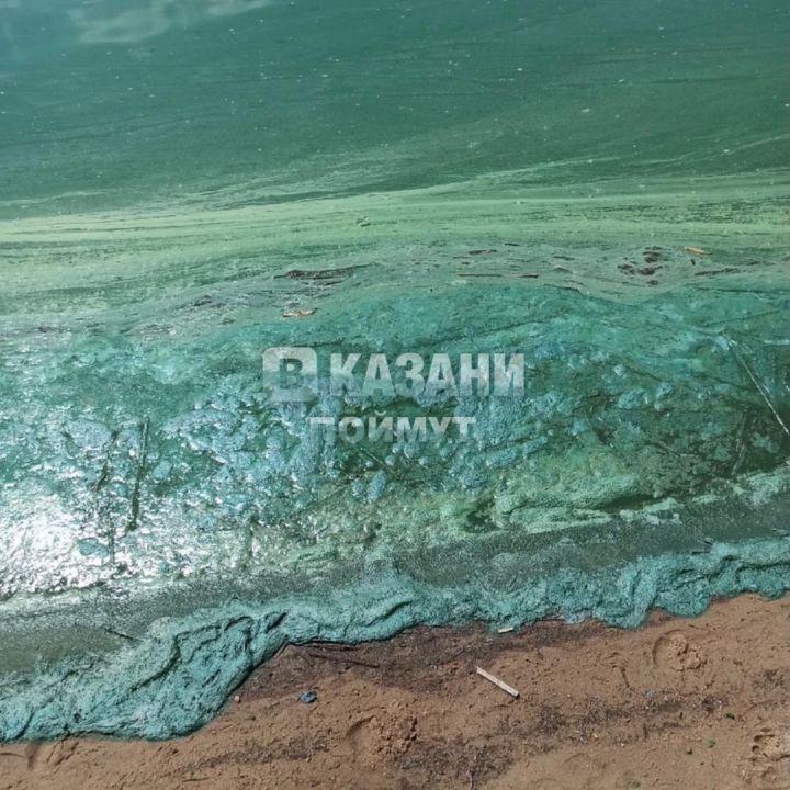 На пляже за Кировской дамбой вода окрасилась в странный цвет