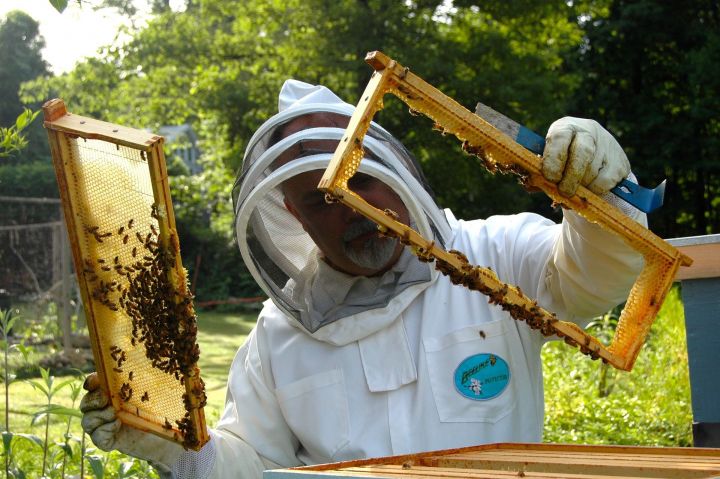 Пчеловоды РТ жалуются на недобросовестных аграриев и усиливают сотрудничество с Минсельхозом
