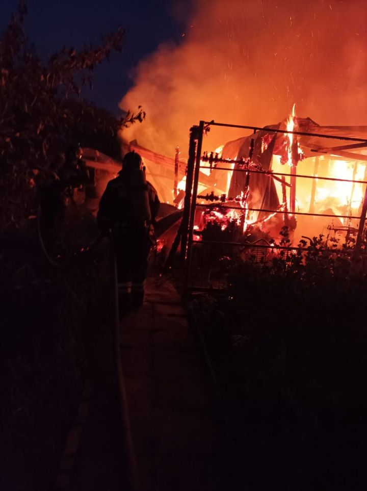 В ночном пожаре в Челнах погибли мужчина и его дочь