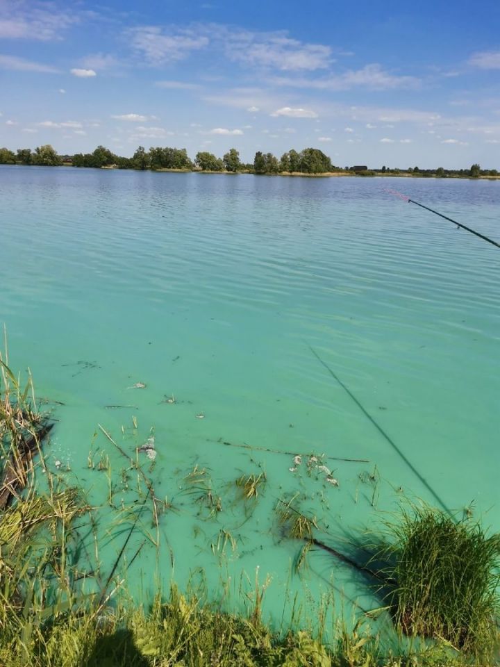 Прокуратура Лаишевского района проверит информацию о неестественном цвете воды Архиерейского озера