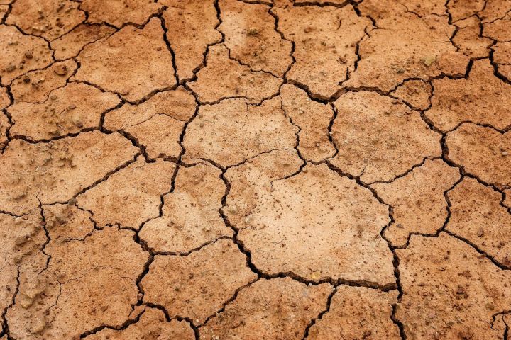 В июле в России ожидается сильная засуха