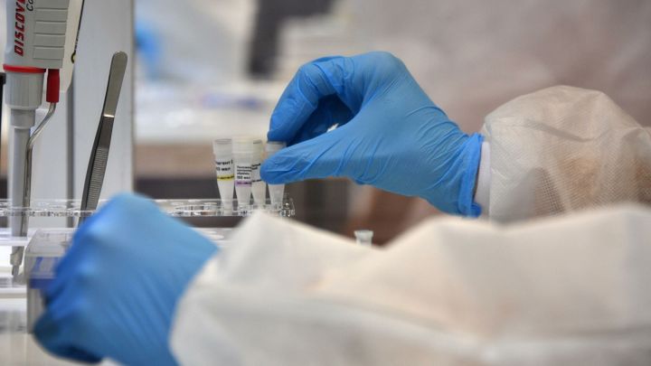 В России выявили «Бразильский» штамм коронавируса «гамма»
