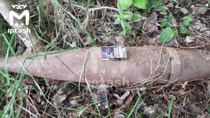 Казанцы обнаружили артиллерийский снаряд в лесу рядом с Куюками