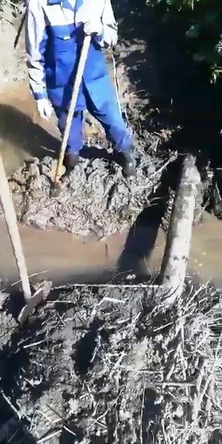 В Татарстане проверят жалобы садоводов, разрушающих плотины бобров