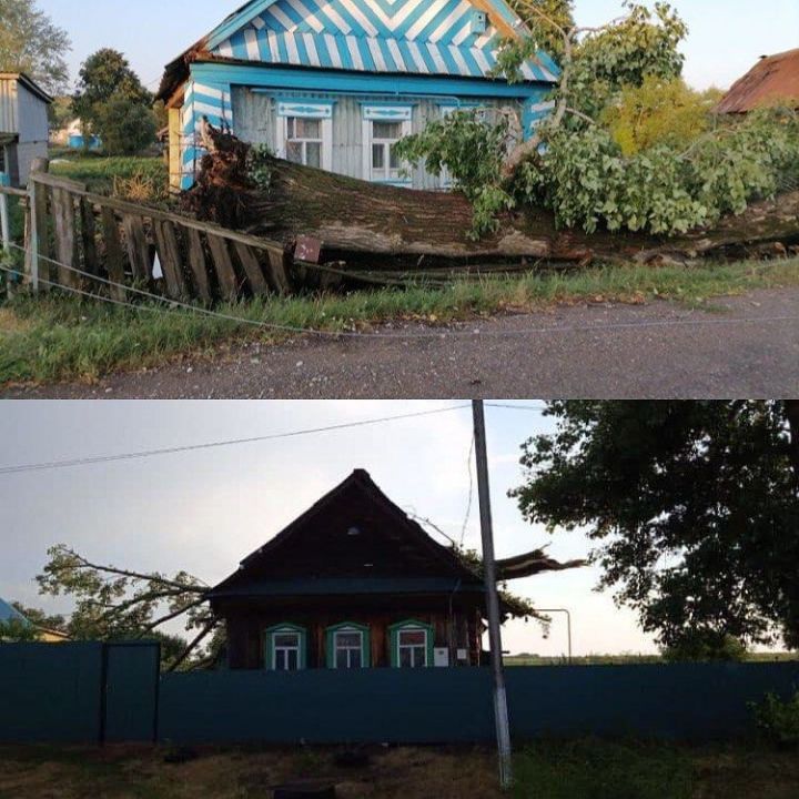 В Тюлячинском районе из-за сильного урагана дерево упало на крышу дома