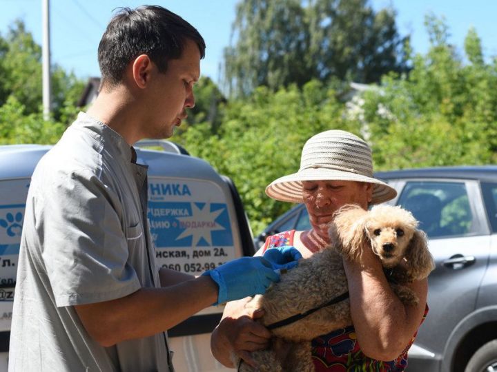 21 августа в Юдино можно вакцинировать и стерилизовать домашних животных