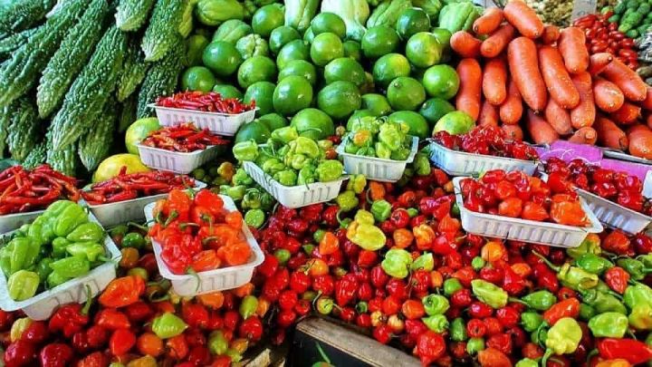 7 августа в Казани стартуют овощные ярмарки