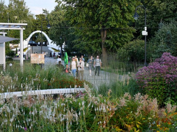 В казанском парке появится инсталляция из 400 бумажных цветов