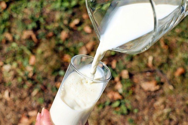 Татарстан стал лидером по производству молока среди всех регионов России