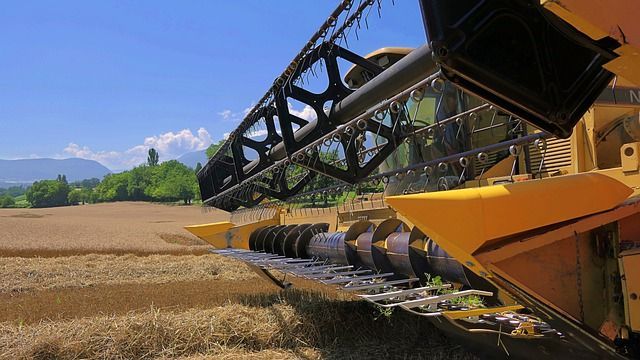 В Татарстане по итогам 2021 года может сократиться производство сельхозпродукции