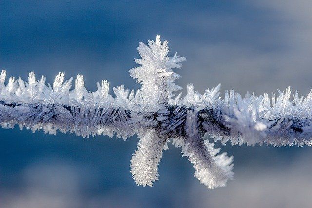 В Татарстане ожидаются заморозки до -2 градусов