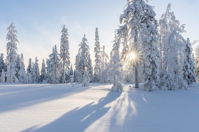 Татарстанцам прогнозируют снежные выходные