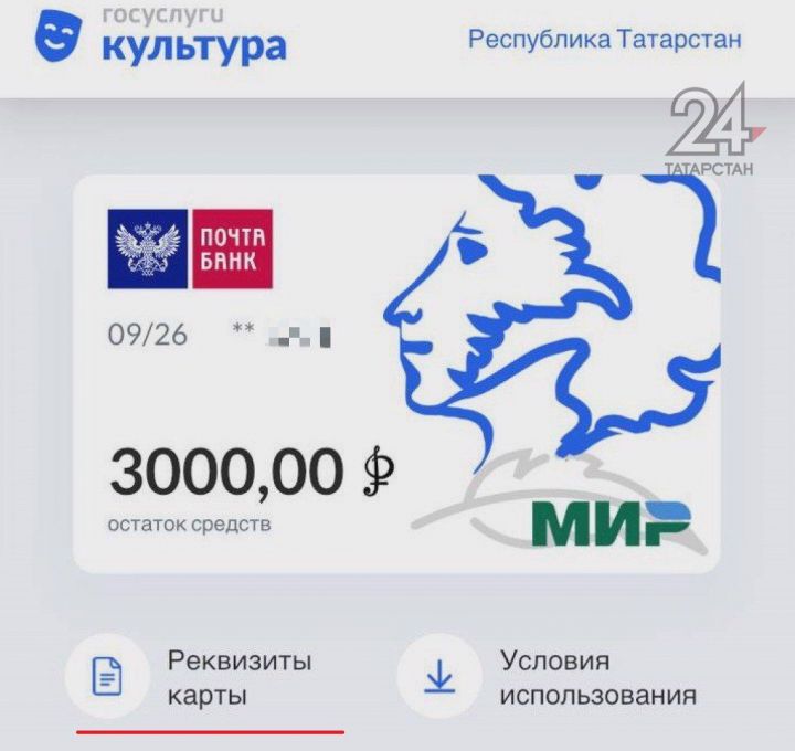 Татарстан стал первым регионом по количеству проданных билетов по «Пушкинской карте»