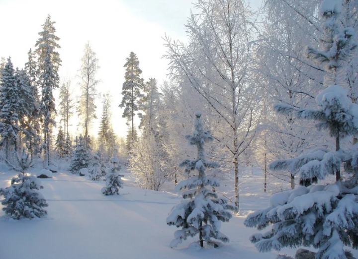 В ближайшие дни в Татарстане похолодает до -24 градусов