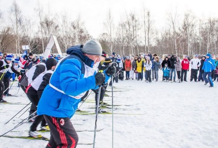 Семейный лыжный забег в лесопарке Лебяжье перенесли на 8 января из-за морозов