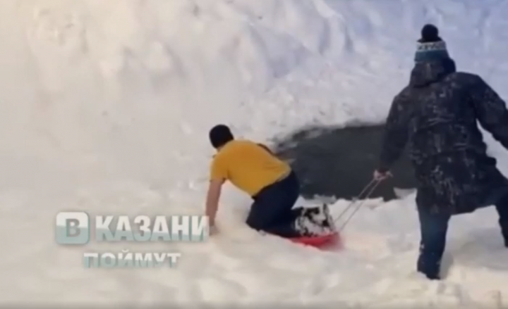 Прохожие спасли собаку, провалившуюся под лед в казанском парке