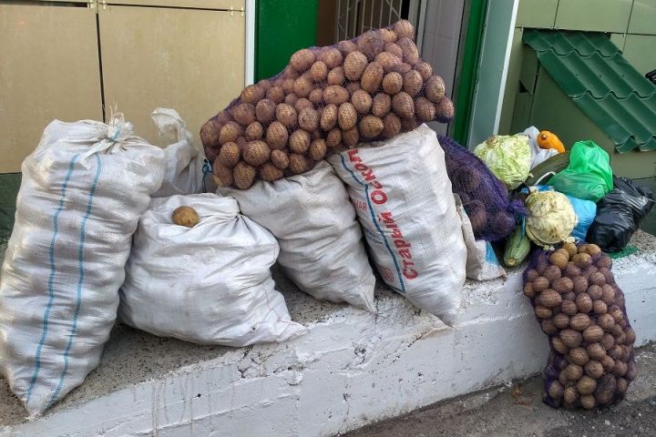 В Татарстане нуждающимся семьям передано 14,5 тонны продовольствия
